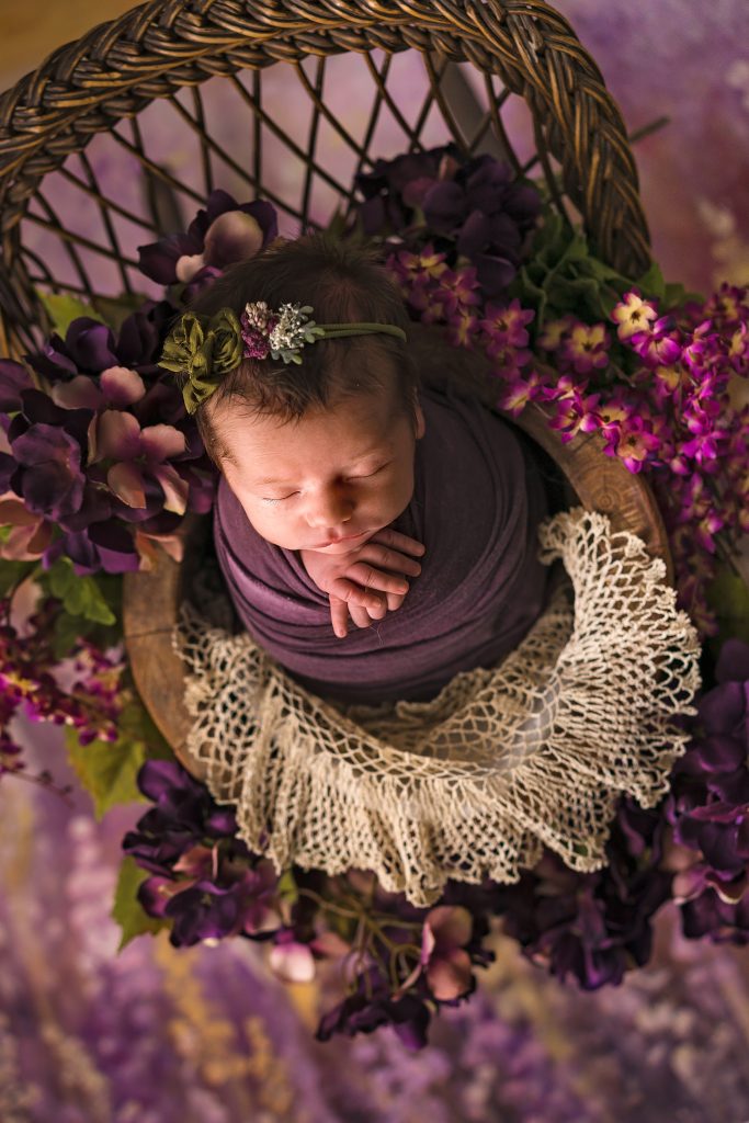 Newborn Portrait of a Baby Girl