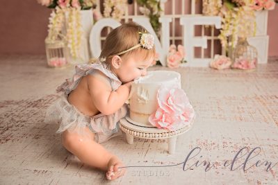 South Jersey Photographer Lin Ellen Studios for Cake Smash and First Birthday Sessions